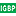 国际地圈生物圈计划IGBP